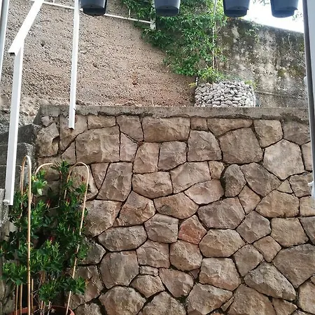 Radovic 3* 챠브타트