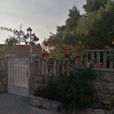 Guest house Radovic 3*