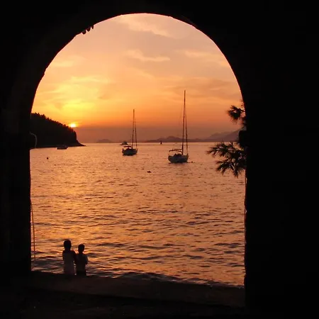 게스트하우스 Radovic 3*