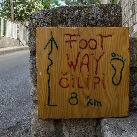 Radovic 챠브타트